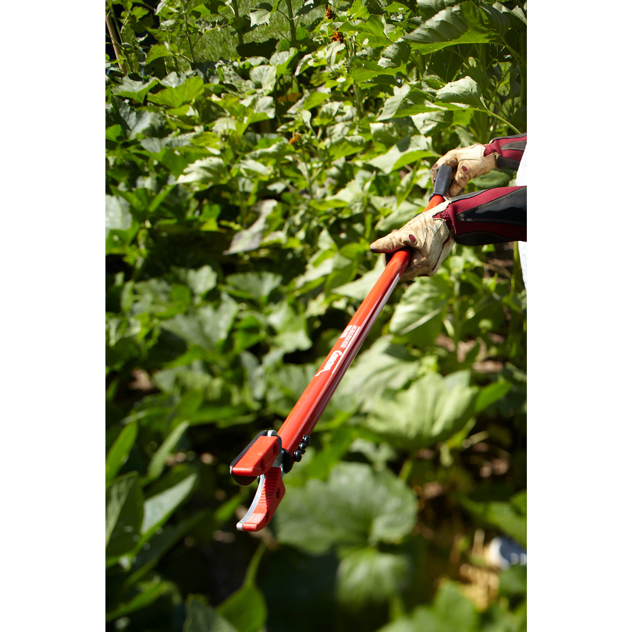 Cut 'n' HOLD Long Reach Bypass Pruner, 1/2 in. Cut Capacity