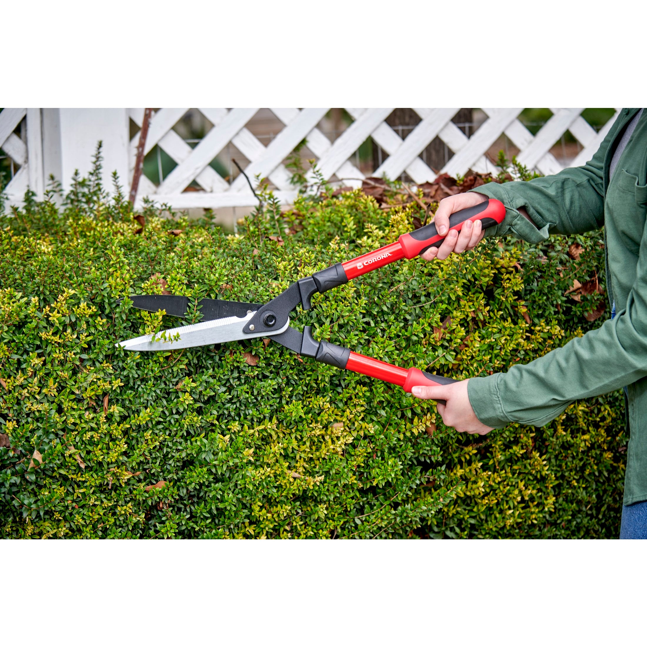 Compound Action Hedge Shears, 9 in. Blades, 11-3/4 in. Handles