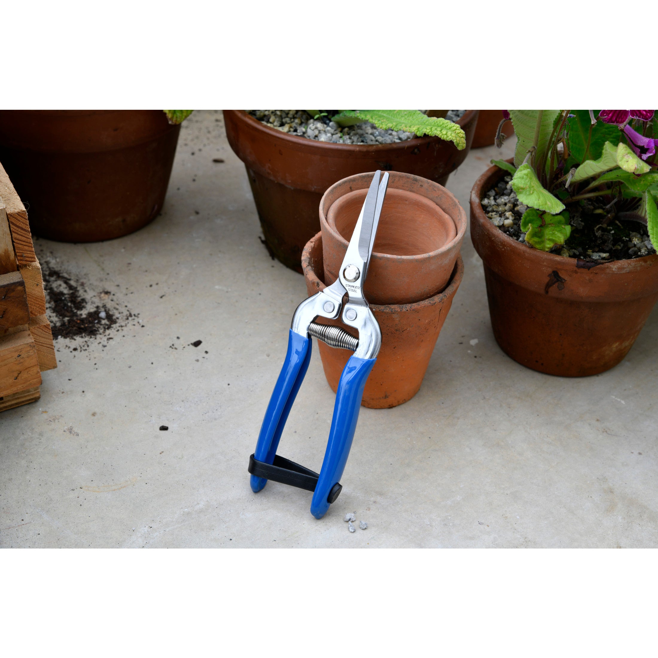 British Meadow Fruit & Flower Snips, RHS Endorsed