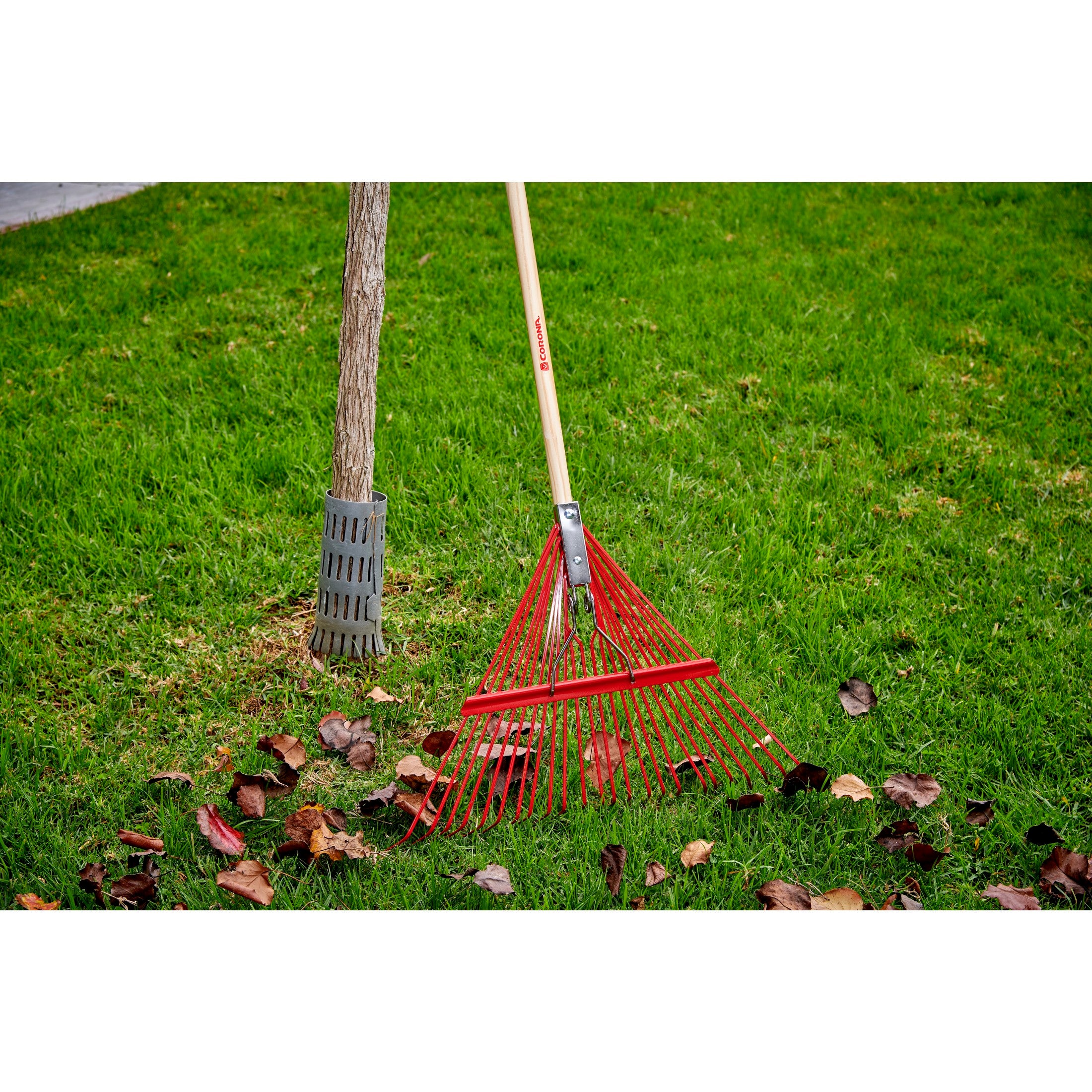 Spring Brace Rake, 24 in. Head, 24 Tines, Hardwood Handle | Corona ...