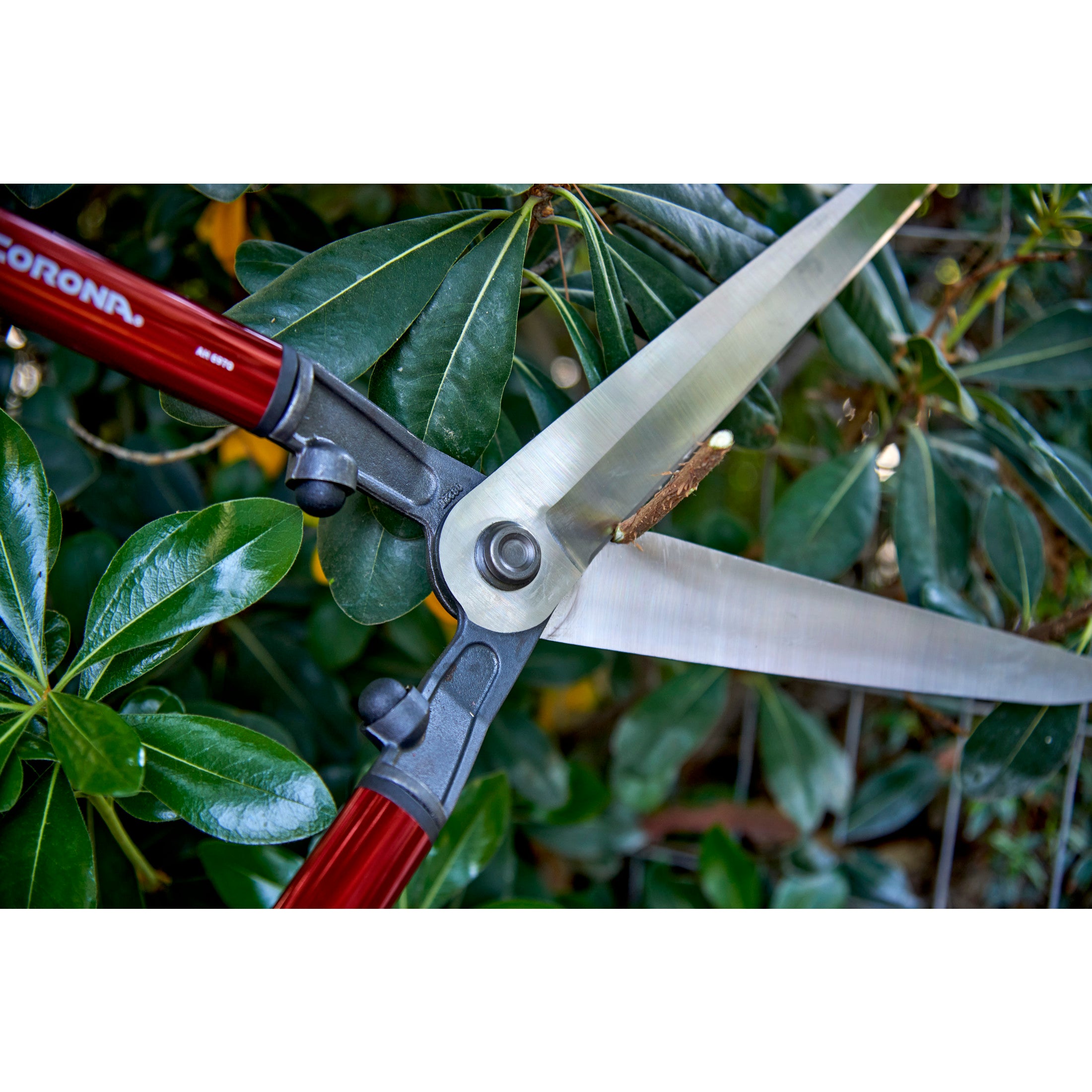 LimbNOTCH Blade Hedge Shears, 10-1/2 in. Blades, 13 in Handles