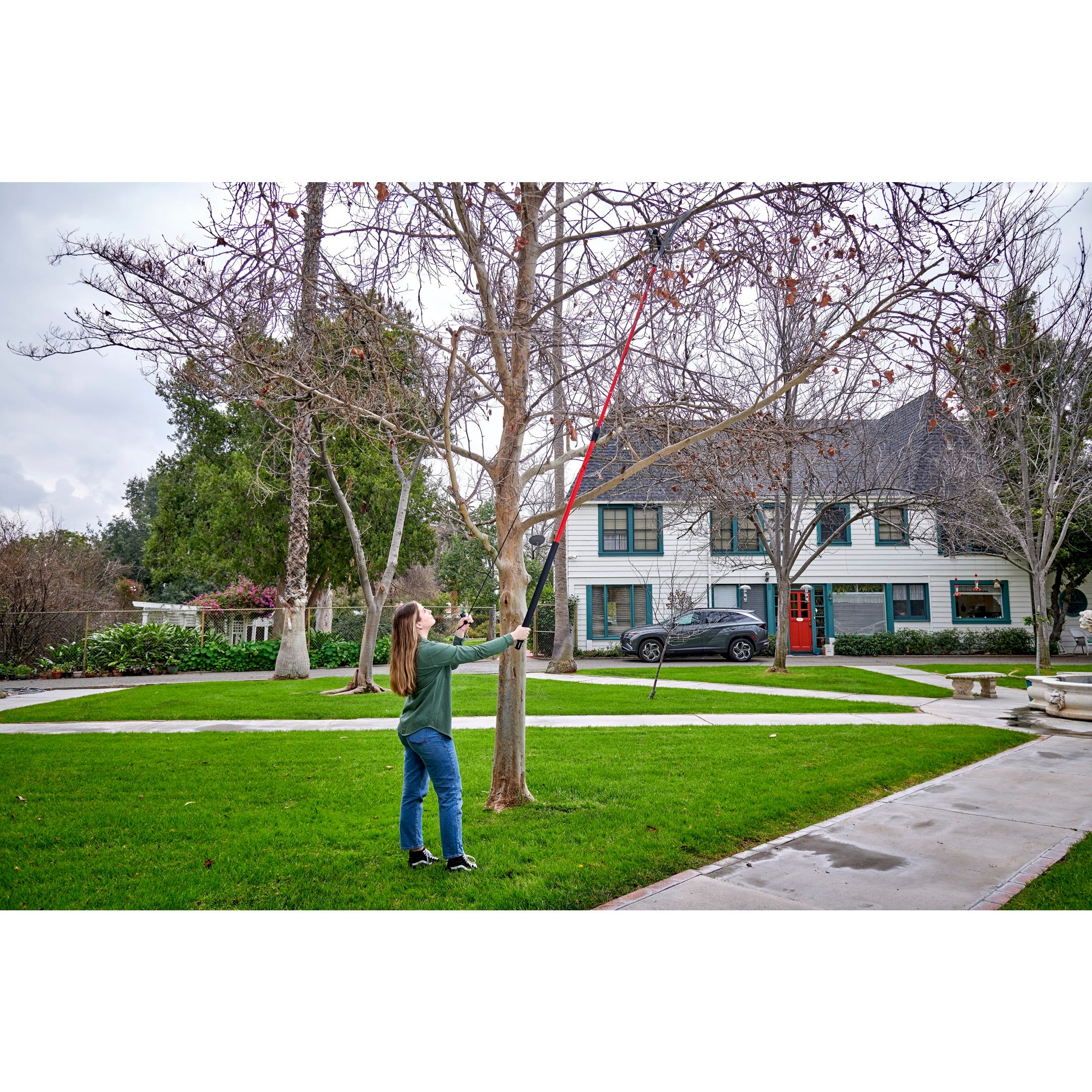 Dual Compound-Action Tree Pruner with RazorTOOTH Saw® Blade, 12 ft.