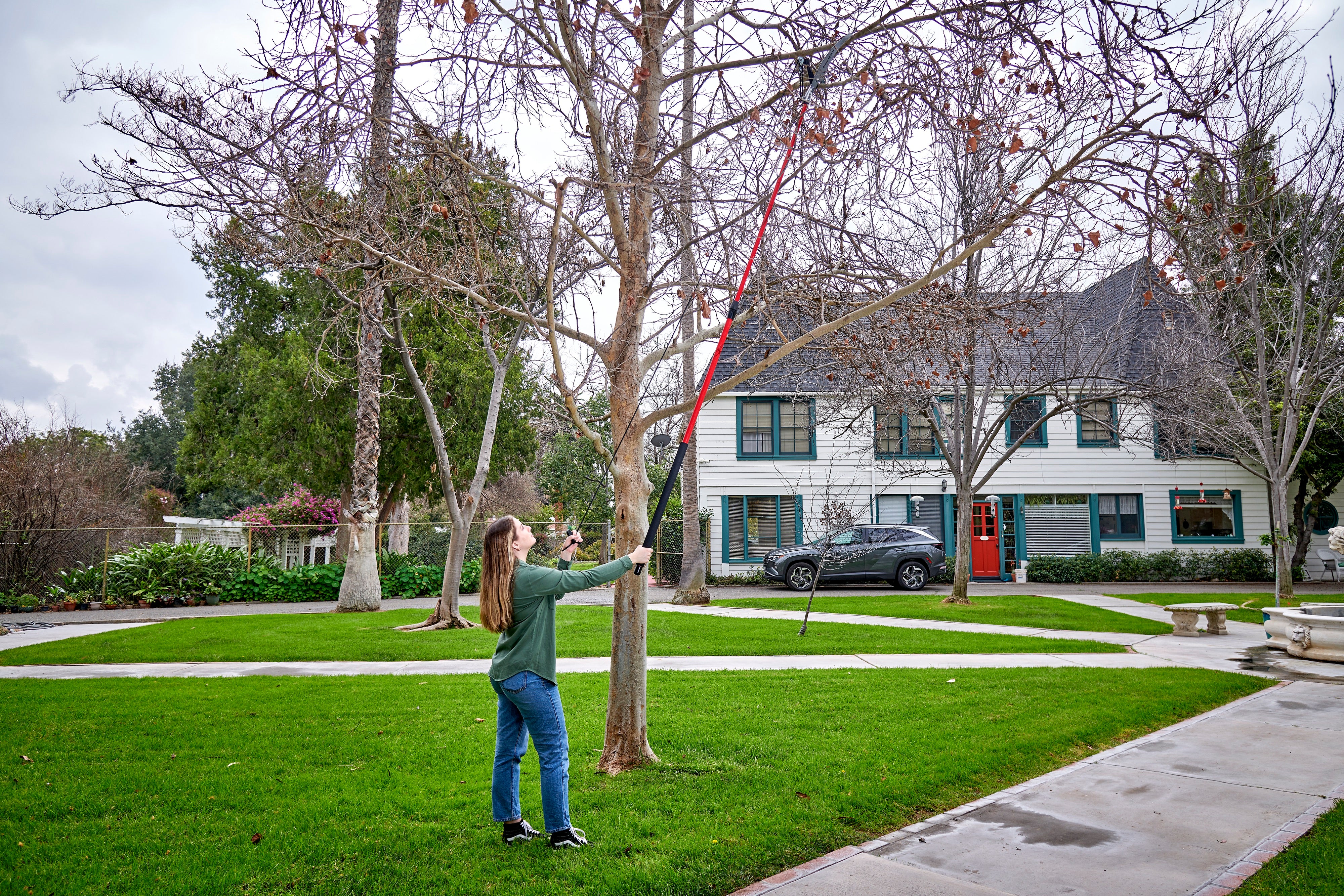 Dual Compound-Action Tree Pruner with RazorTOOTH Saw™ Blade, 12 ft.