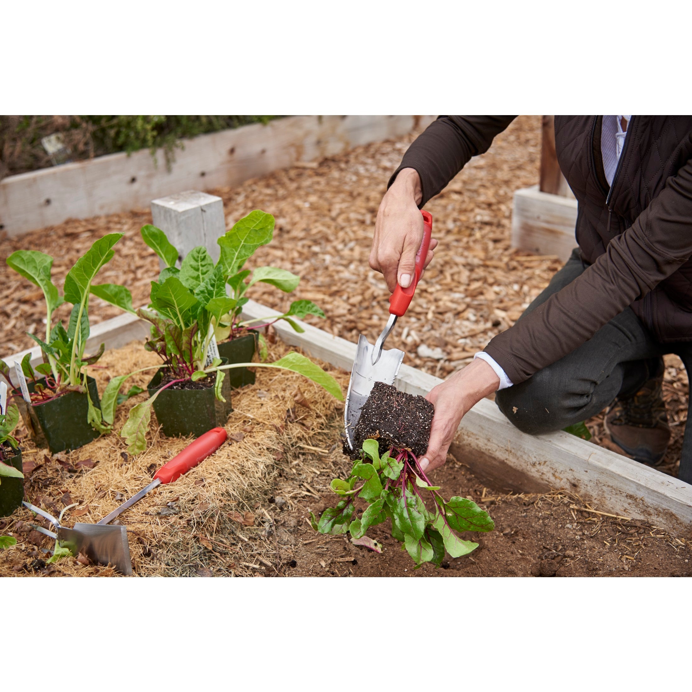 ComfortGEL® Transplanter Premium Stainless Steel