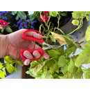 Hydroponic Scissors-5