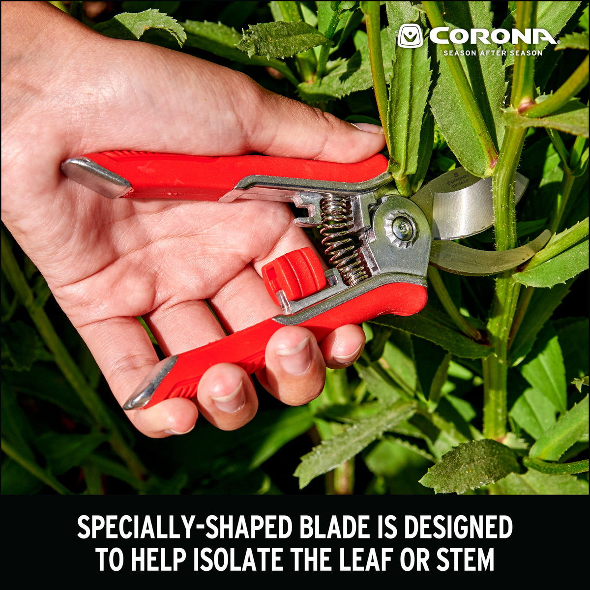 Yard Essentials Houseplant Pruners, Red/Black/Green/Yellow | Corona ...