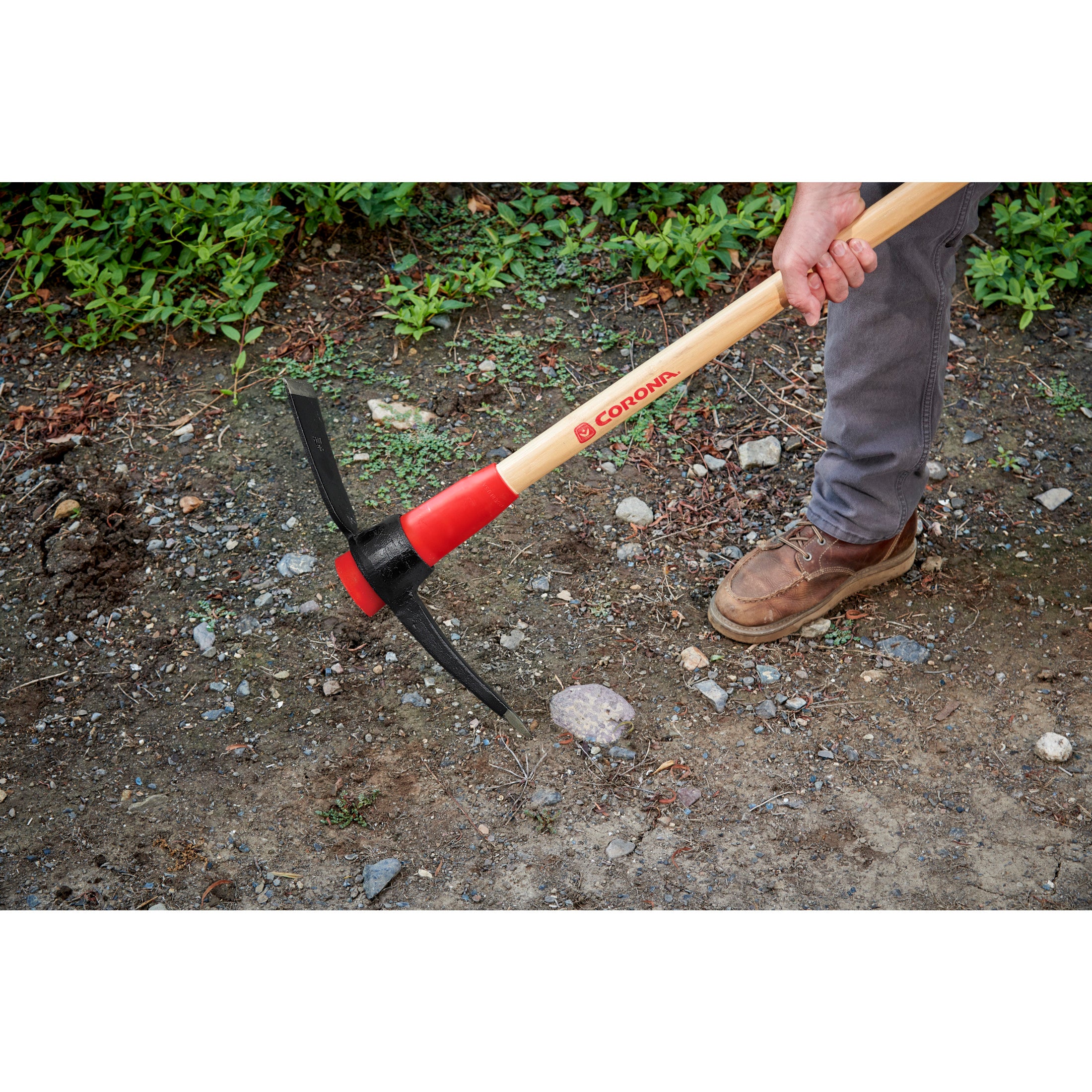 Pick Mattock, 36 in. Hickory Handle with Poly Guard