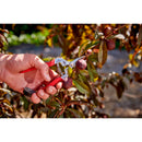 Short Curved Snips, 1 in. Blades-3