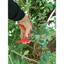ClassicCUT® Bypass Pruner, 1 in. Cut Capacity-6