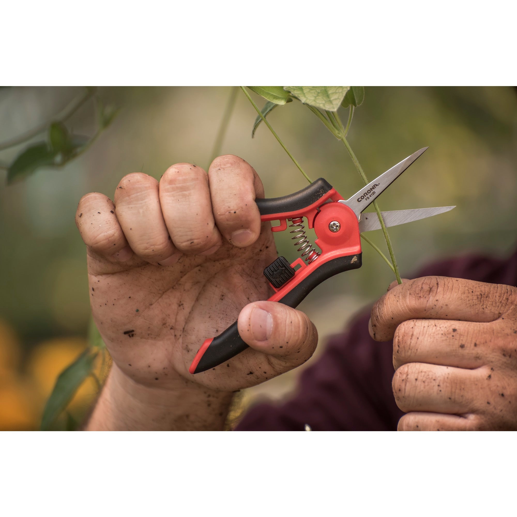 Hydroponic Micro Snips