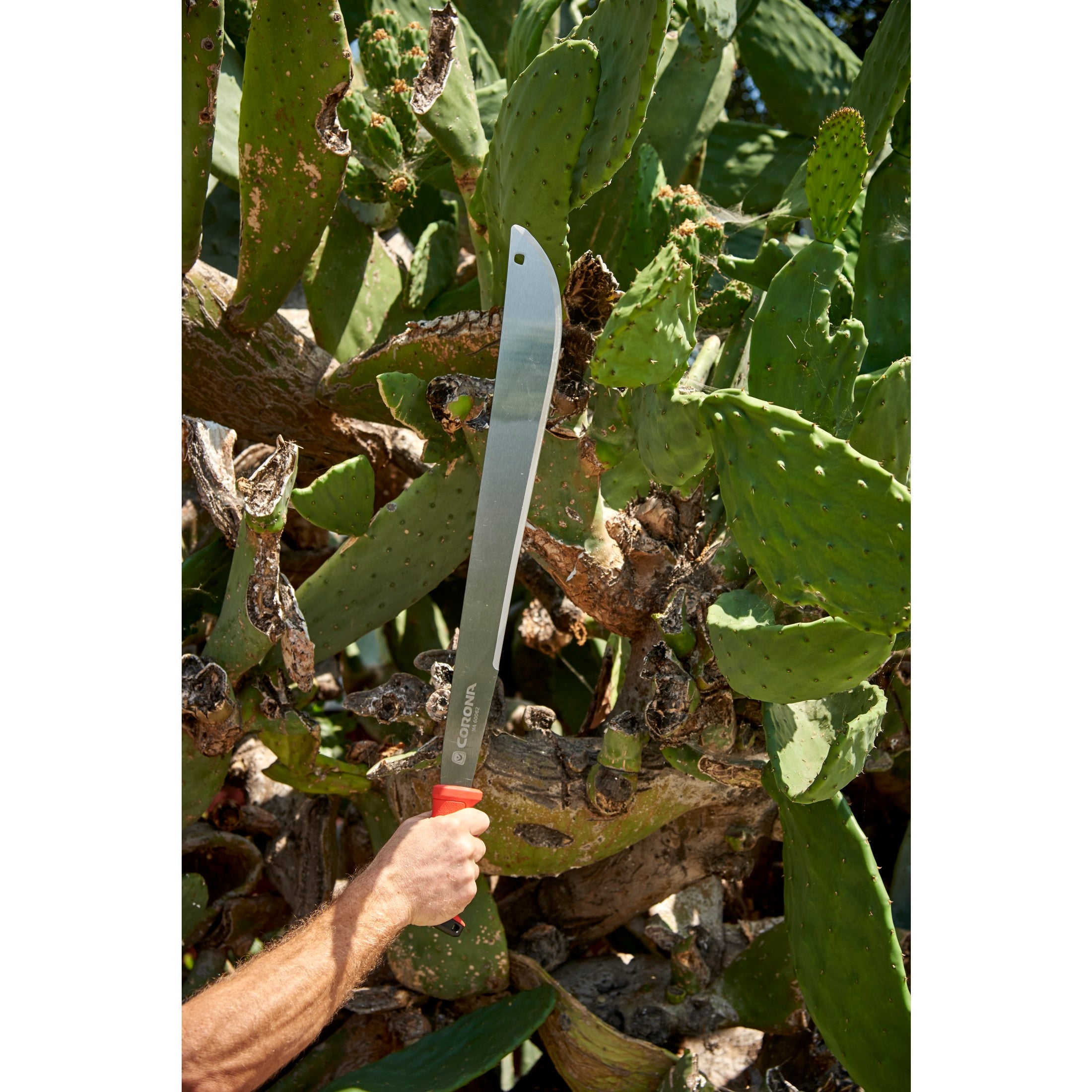 Machete - 22 Inch | Corona Clipper Inc.