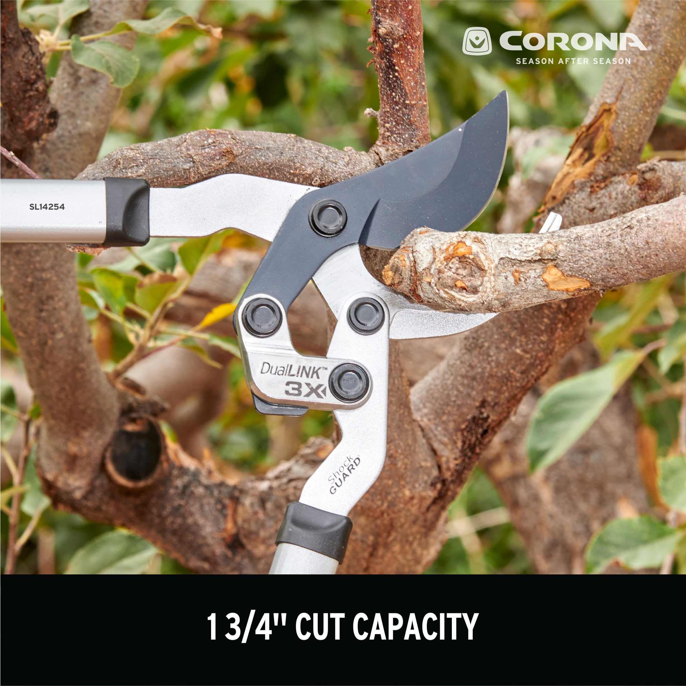 DualLINK Bypass Lopper, 1-3/4 in. Cut Capacity | Corona Clipper Inc.