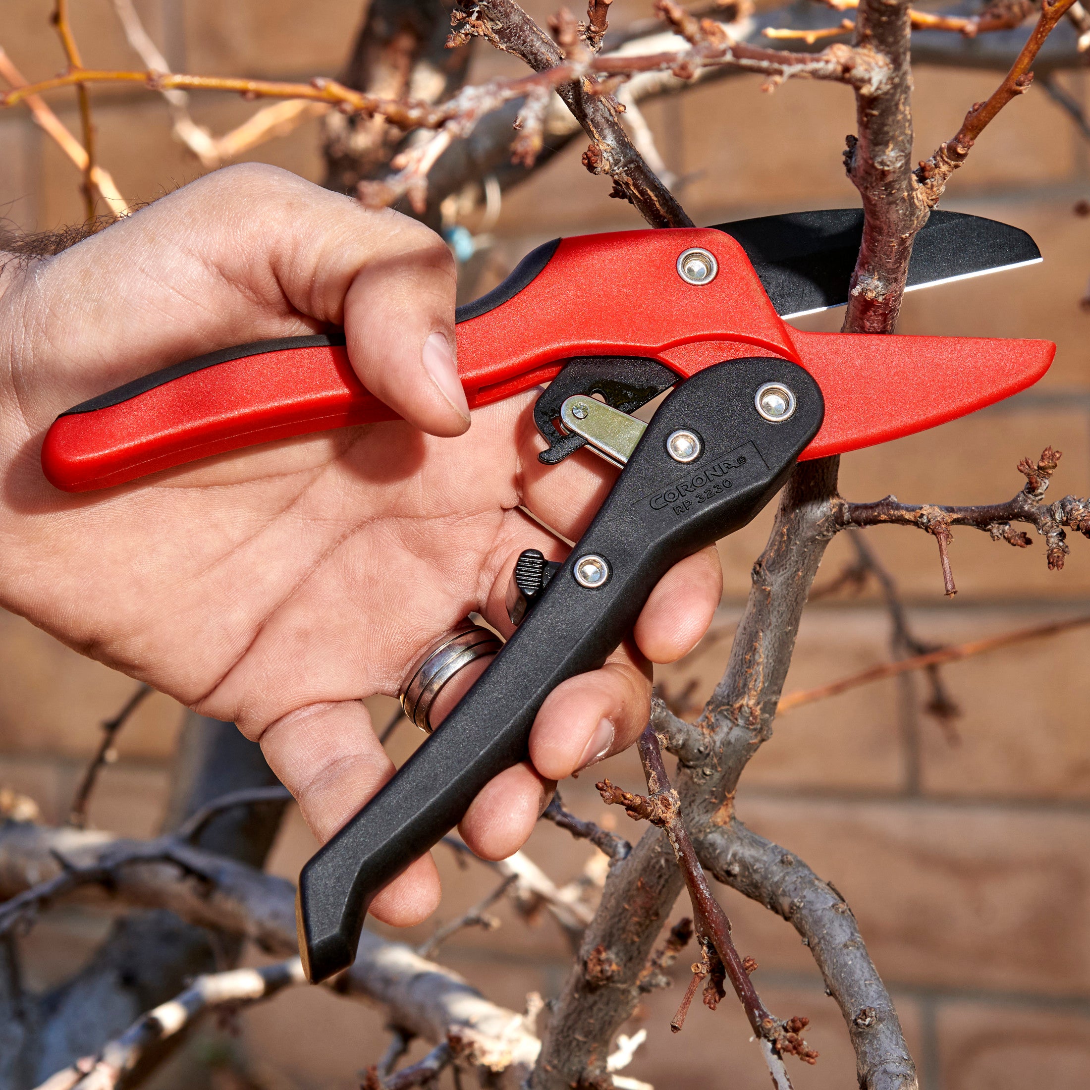 Ratchet Pruner, 3/4 in. Cut Capacity