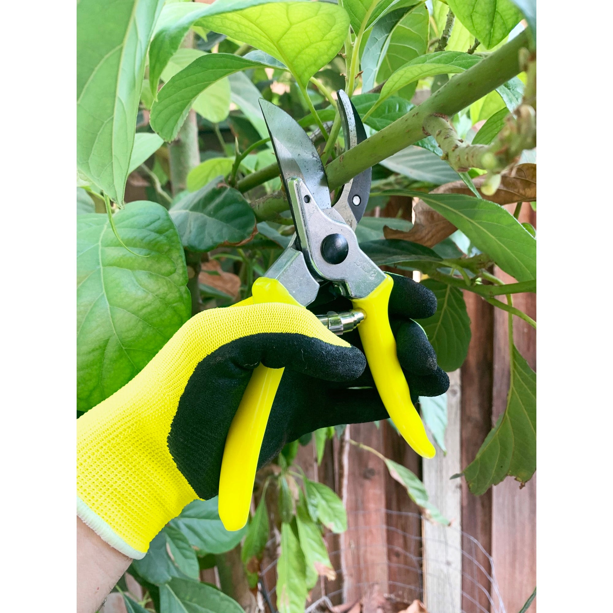 Florabrite™ Bypass Pruner, Neon Yellow, 1 in. Cut Capacity,