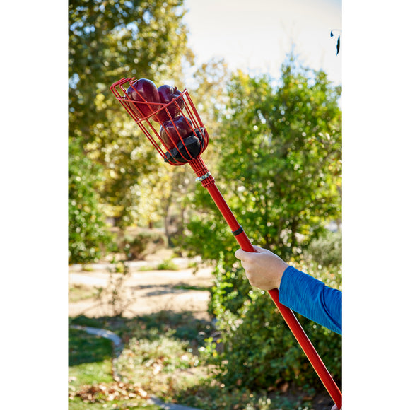 Extendable Fruit Picker, 12 ft.