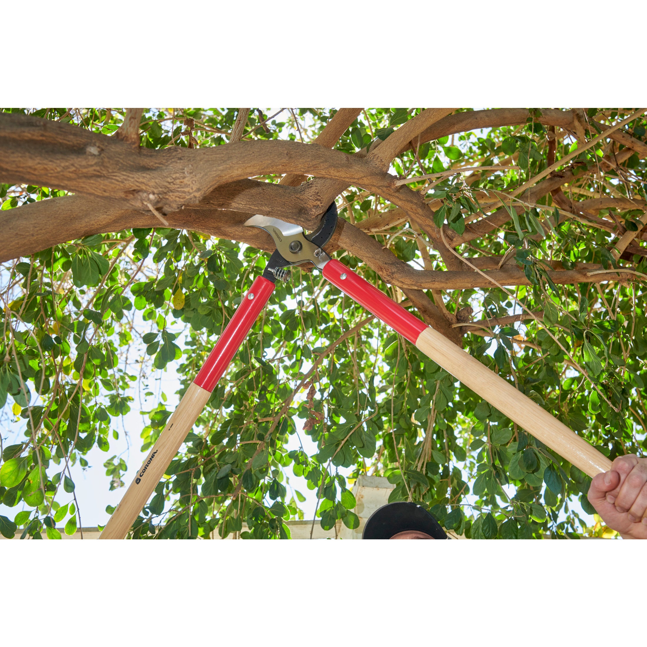 SuperDUTY Bypass Lopper, 37 in. Hickory Handles, 3 in. Cut