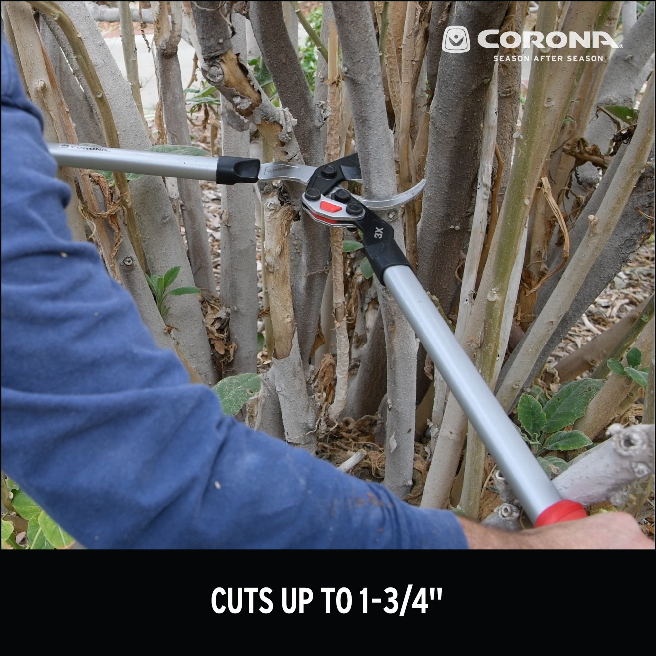 MultiLINK Bypass Lopper, 1-3/4 in.Cut Capacity | Corona Clipper Inc.
