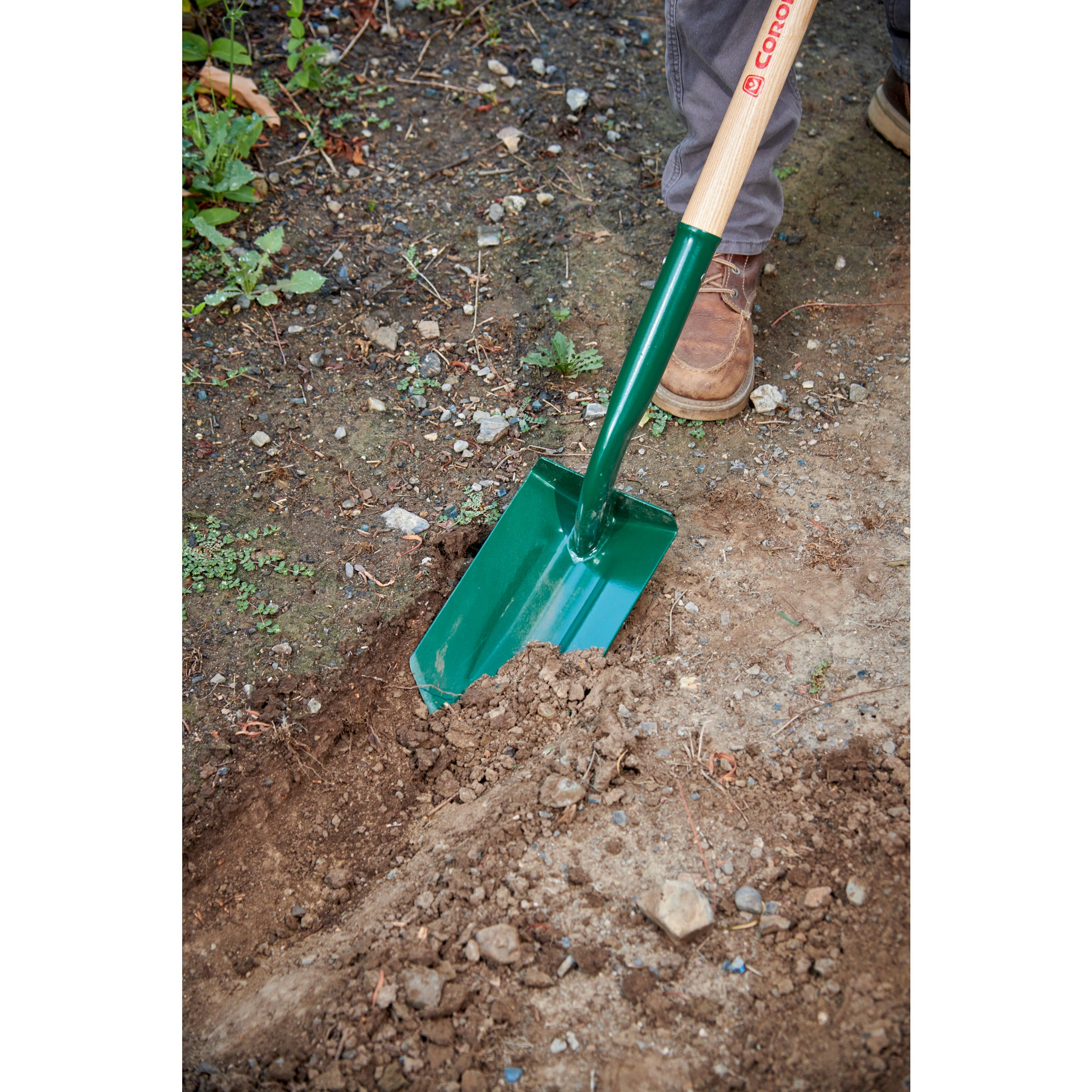 Trench Shovel, 35 Degree, 6 in. Head, Ash Hardwood Handle