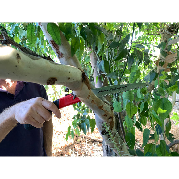 RazorTOOTH Saw® Arborist Folding Pruning Saw, 7 in. Blade