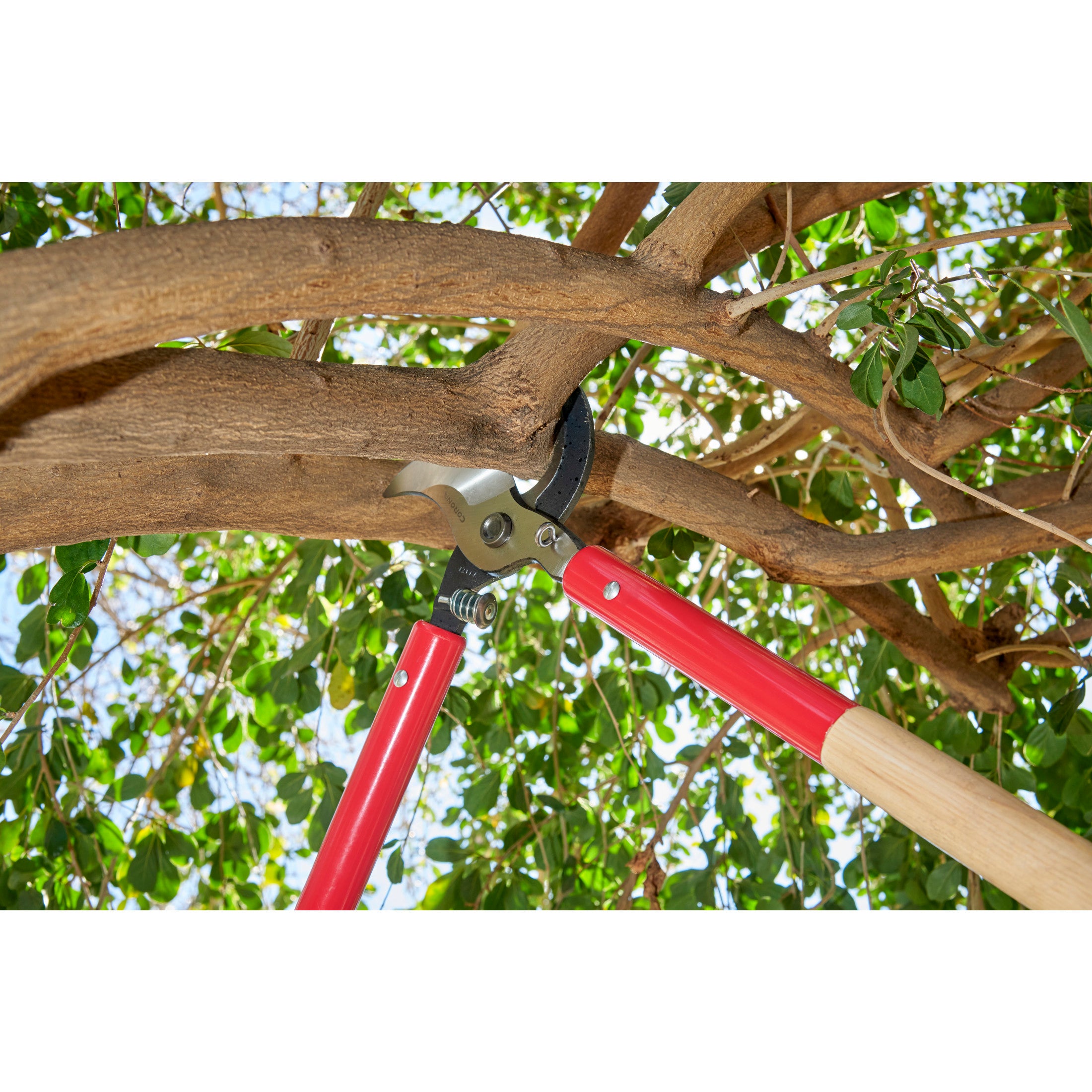 SuperDUTY Bypass Lopper, 37 in. Hickory Handles, 3 in. Cut Capacity