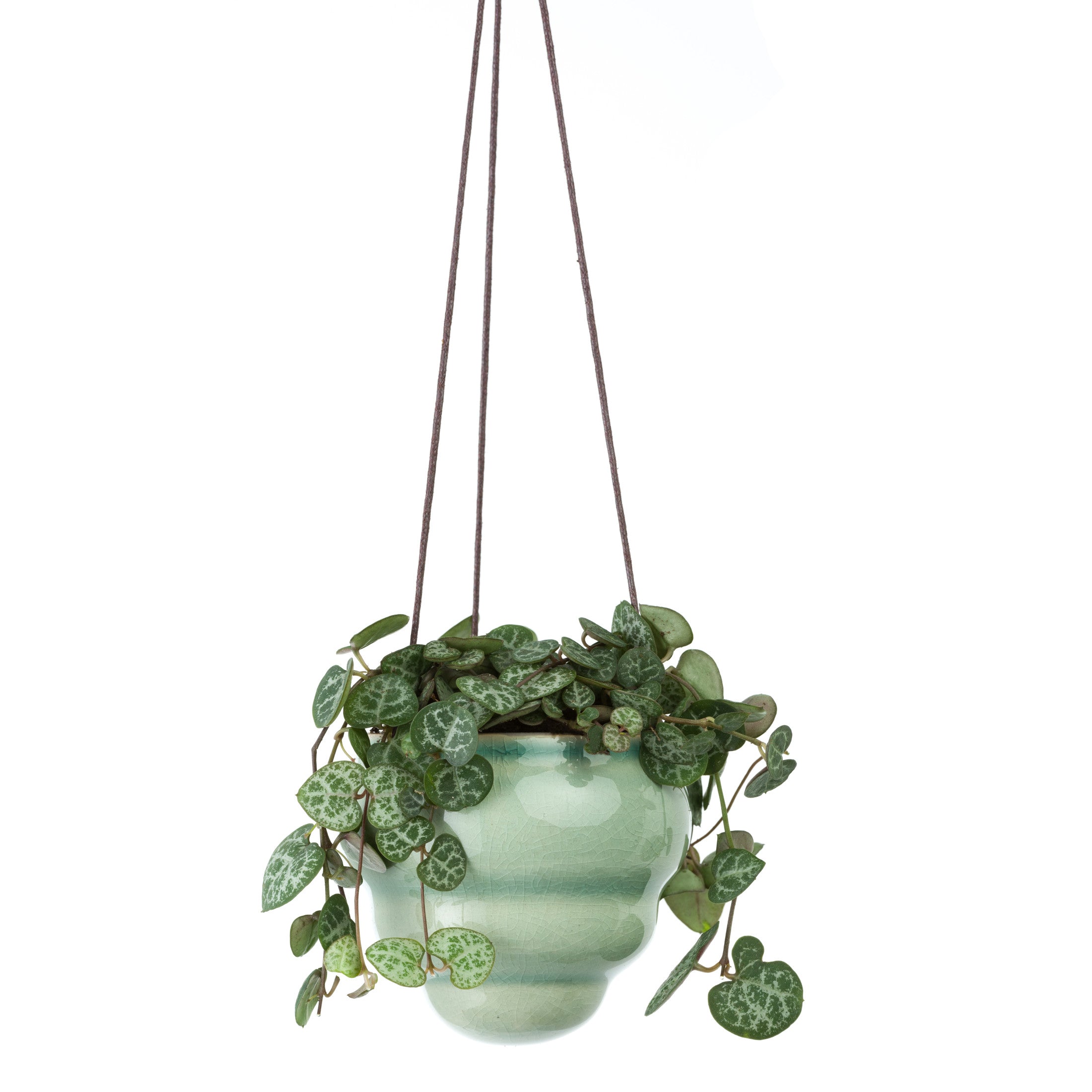 Hanging Baby Bombini Trio Vases