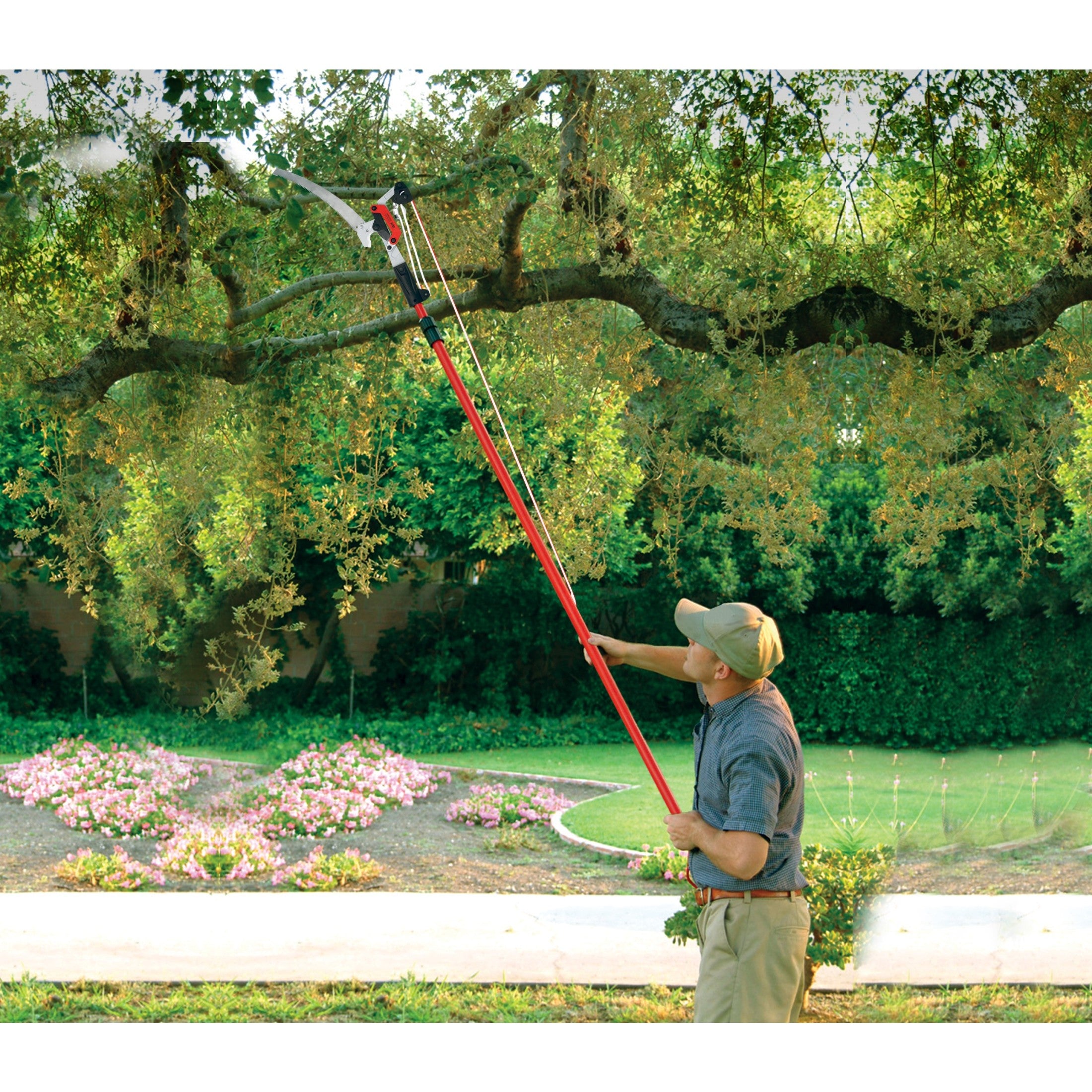 DualLINK Tree Saw and Pruner, 14 ft. Pole