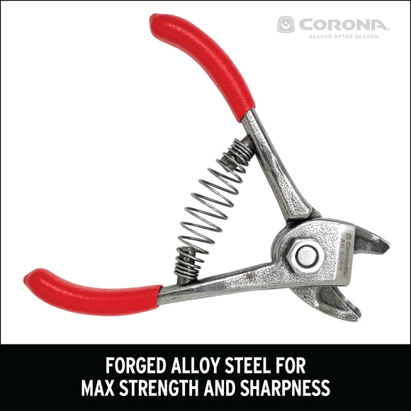 Orange and Apple Bypass Shears