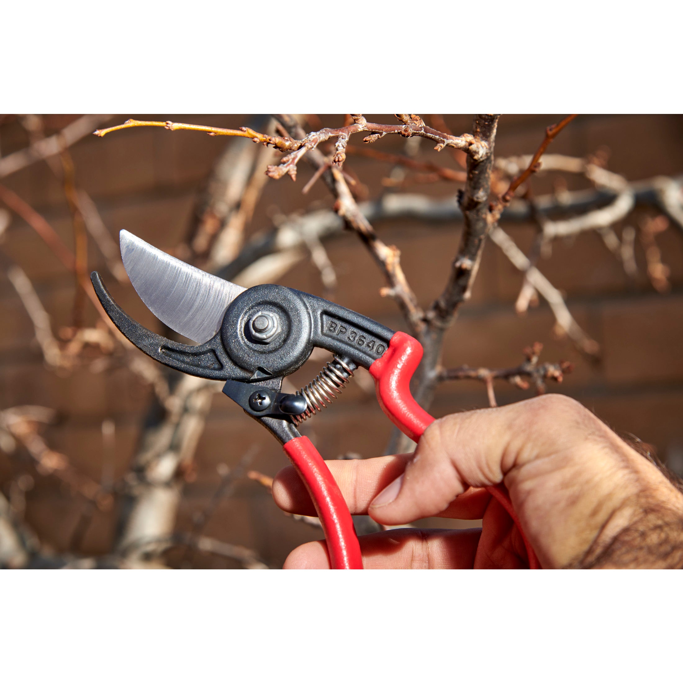 ErgoACTION Bypass Pruner, 3/4 in. Cut Capacity