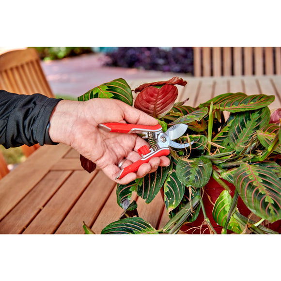 Yard Essentials Houseplant Pruners, Variety Pack