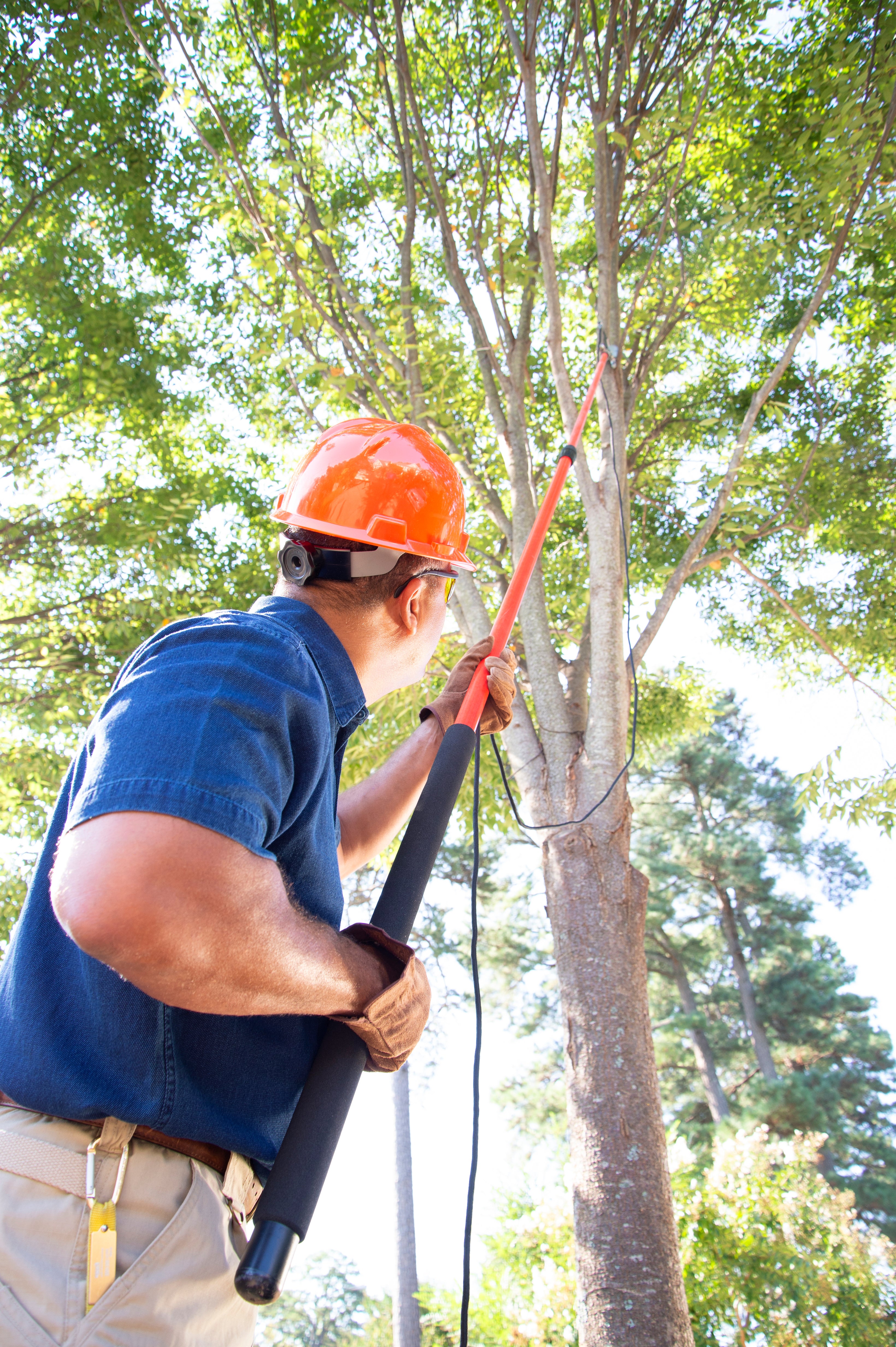 Professional Tree Pruner with RazorTOOTH Saw™ Blade, 16 ft. Pole