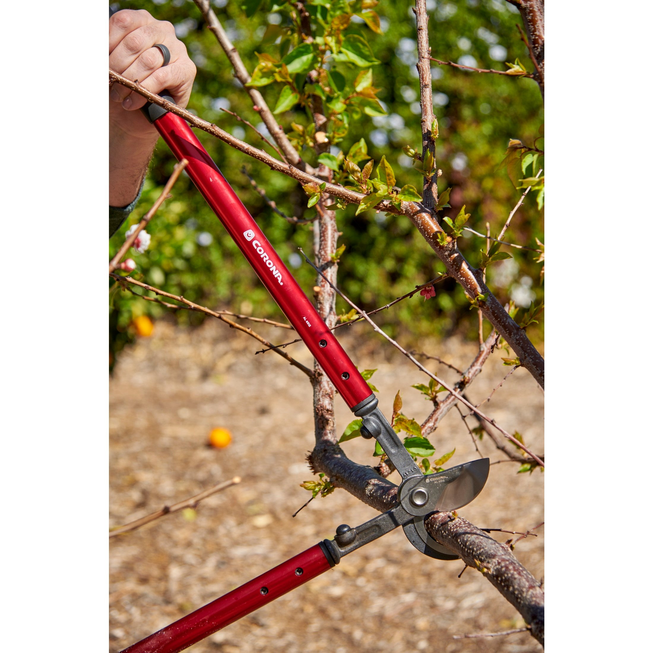Corona AL6512 Bypass Lopper - Thumbnail 5