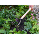 Mid-Handled Stainless Steel Claw Cultivator, Wood Grip, RHS Endorsed-6