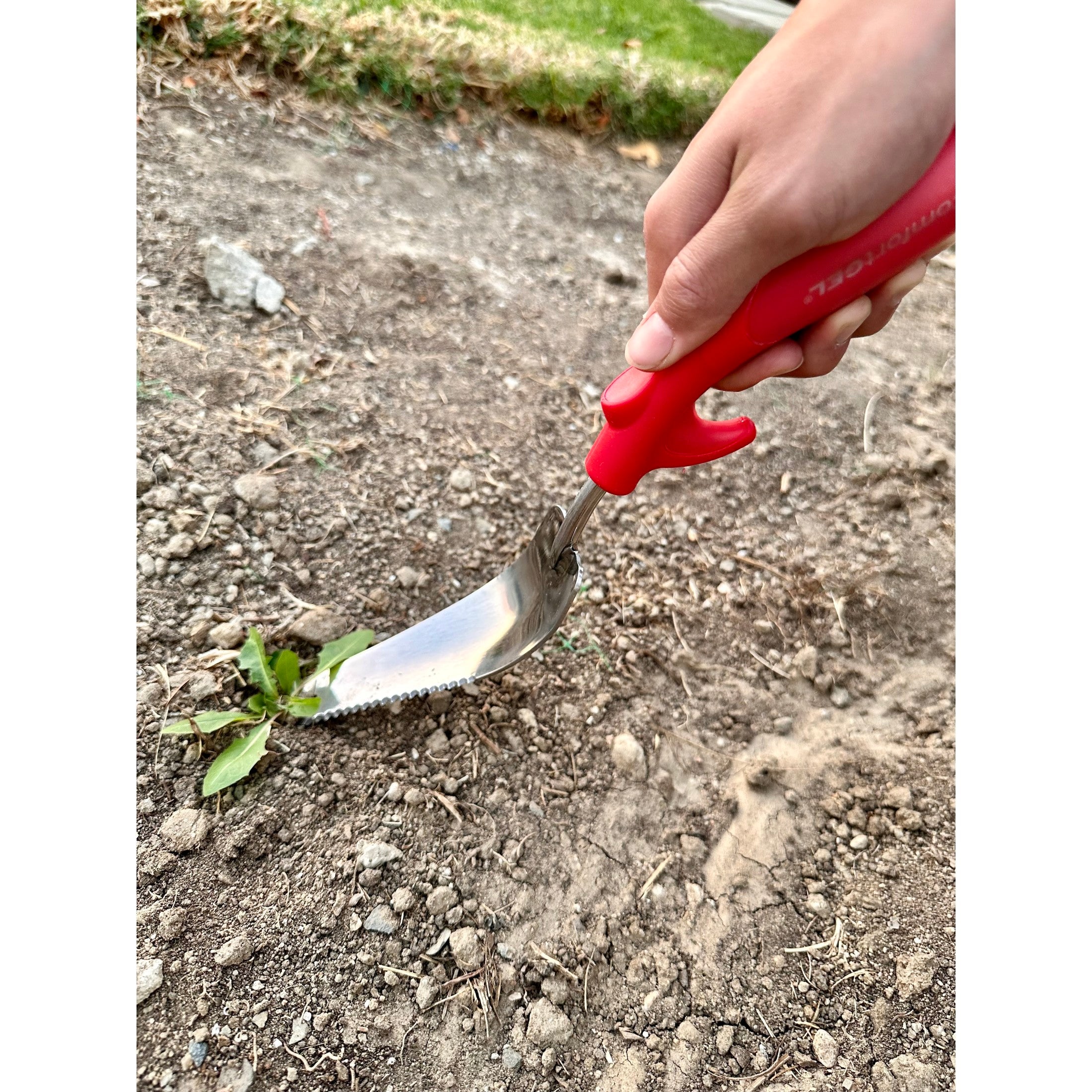 ComfortGEL® Weeder Stainless Steel | Corona Clipper Inc.