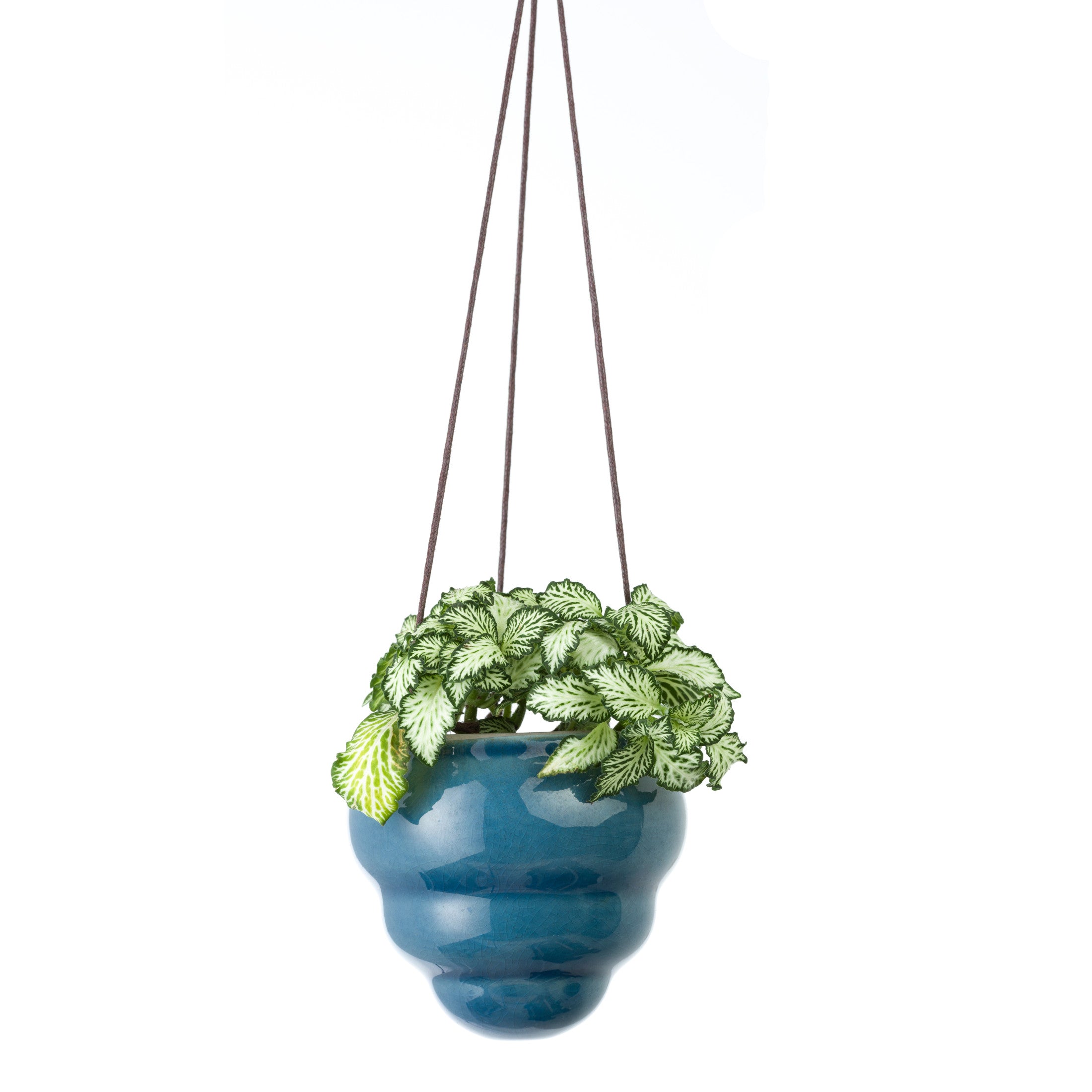 Hanging Baby Bombini Trio Vases