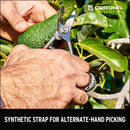 Avocado Shears-10